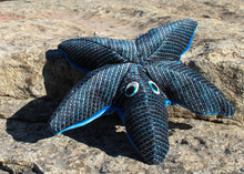 Load image into Gallery viewer, Starfish