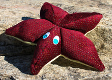 Load image into Gallery viewer, Starfish