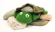 Load image into Gallery viewer, Turtle