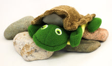 Load image into Gallery viewer, Turtle