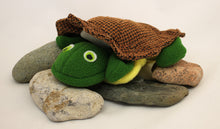 Load image into Gallery viewer, Turtle