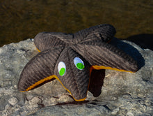 Load image into Gallery viewer, Starfish