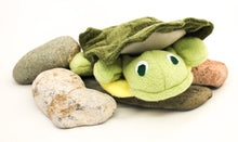 Load image into Gallery viewer, Turtle