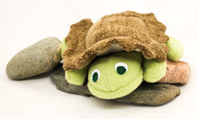 Load image into Gallery viewer, Turtle