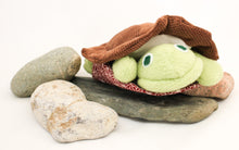 Load image into Gallery viewer, Turtle