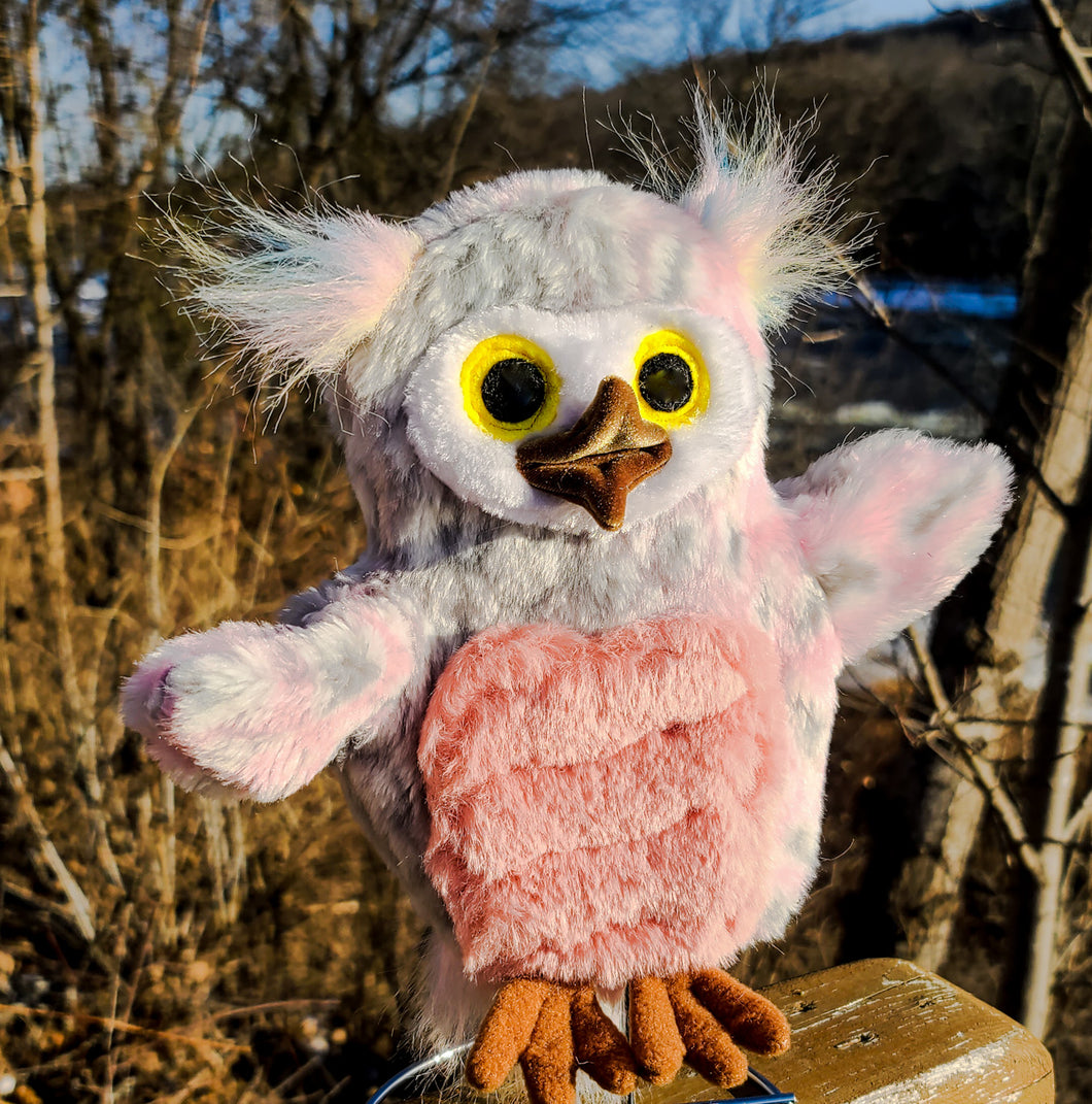 Pink Owl with White Face