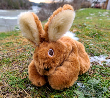 Load image into Gallery viewer, Brown Bunny
