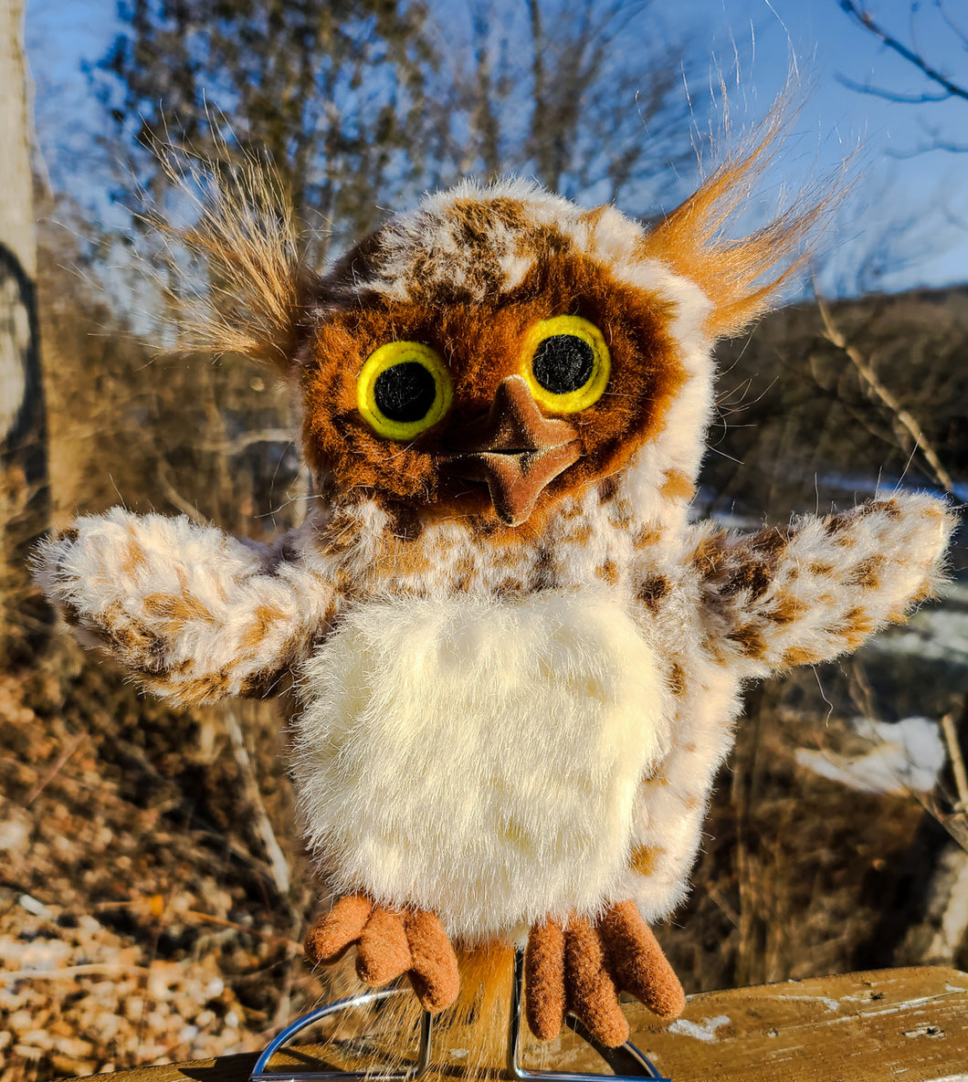 Brown Owl with brown face
