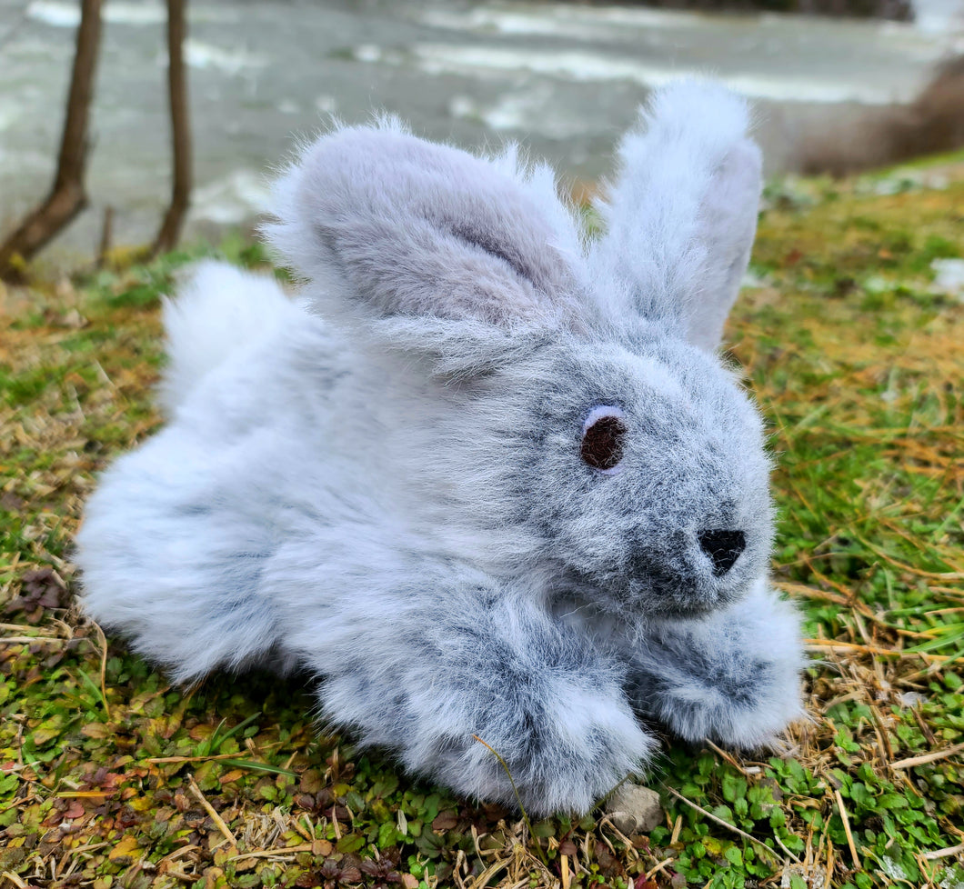 Fluffy Grey Bunny