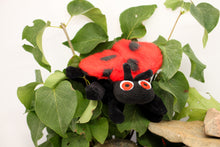 Load image into Gallery viewer, Ladybug

